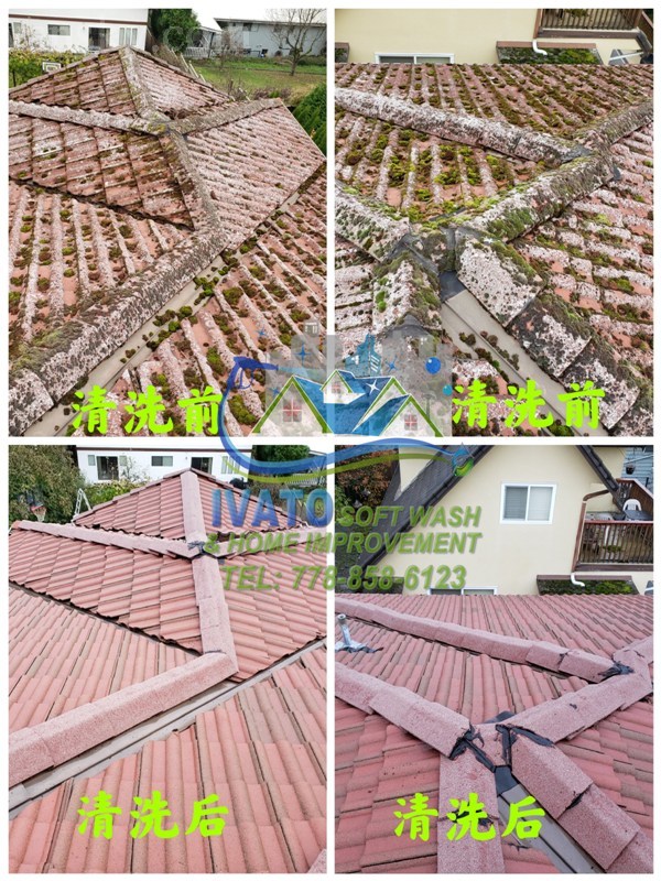 220328174648_01- Roof  Cleaning 01.1.jpg
